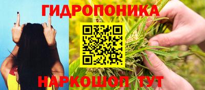 эйфоретик Малгобек