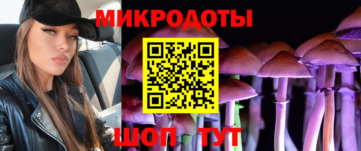 Псилоцибиновые грибы Psilocybe Димитровград